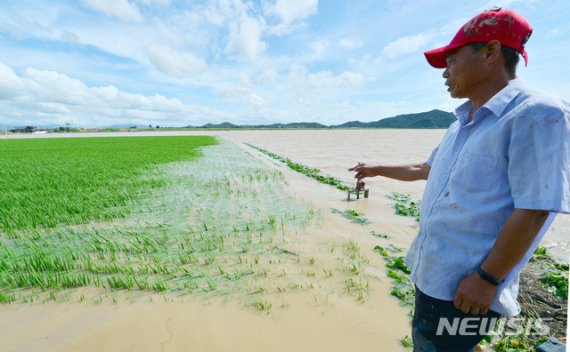 [나주=뉴시스] 변재훈 기자 = 9일 오전 전남 나주시 다시면 죽산리 죽지마을에서 한 농민이 물에 잠긴 논을 바라보고 있다. 최근 쏟아진 집중호우로 전날 오후 영산강 문평천 제방이 붕괴되면서 다시면 일대 농경지와 주택 등이 이틀째 물속에 잠겨 있다. 2020.08.09.wisdom21@newsis.com