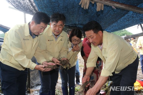 전북도의회 의원·직원, 폭우 피해현장 일손 보탰다