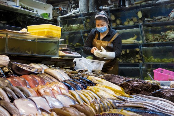 중국 베이징의 한 시장에서 진열돼 있는 어류 /사진=로이터뉴스1