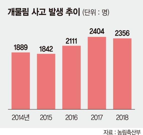 "우리 개는 안물어요" 견주 방심이 개물림사고 유발