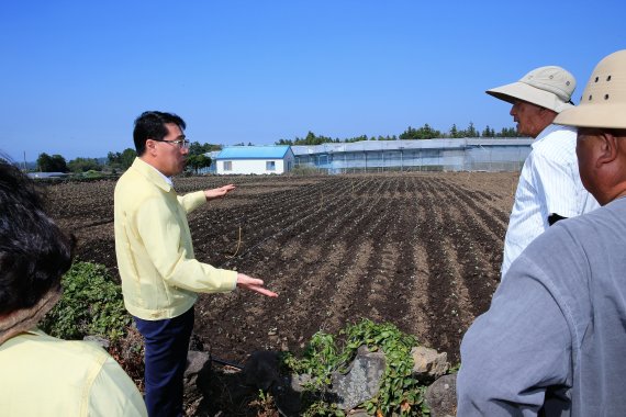 [fn포토] 안동우 제주시장, 농경지 폭염대책 현장 점검