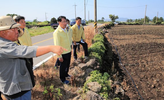 [fn포토] 안동우 제주시장, 농경지 폭염대책 현장 점검
