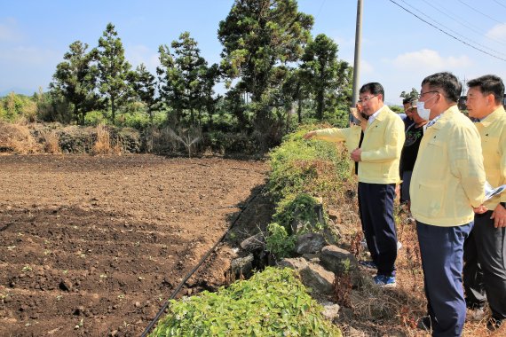 [fn포토] 안동우 제주시장, 농경지 폭염대책 현장 점검