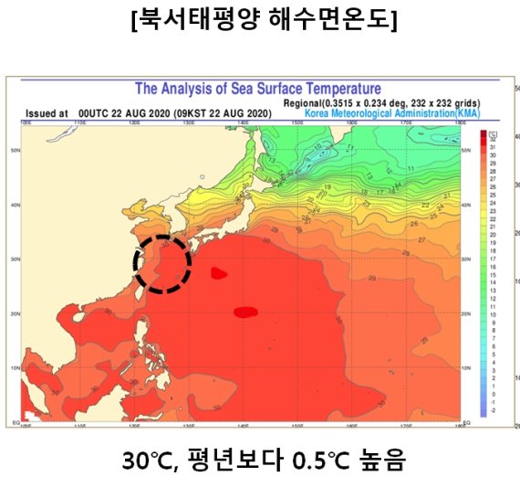 태풍 '바비' 북상에 위험반원 든 한반도.."작년 '링링' 닮아 강풍 주의해야"