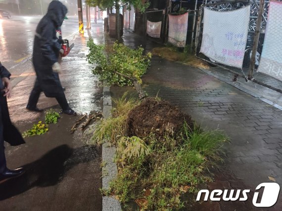 태풍 바비 전북 상륙 /사진=뉴스1