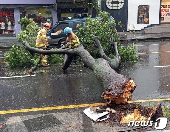 서해안 휩쓴 태풍 '바비'..시설피해 101건, 정전 1633 가구