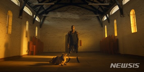 [서울=뉴시스]넷플릭스 영화 '불사조, 비상하다'. (사진=넷플릭스 제공) 2020.08.29. photo@newsis.com