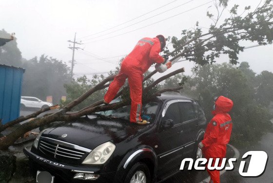 제9호 태풍 '마이삭'이 북상한 2일 오후 제주 서귀포시 표선면 성읍리에 주차된 차량을 가로수가 덮쳐 소방대원들이 안전조치를 취하고 있다.(제주소방안전본부 제공)2020.9.2/뉴스1