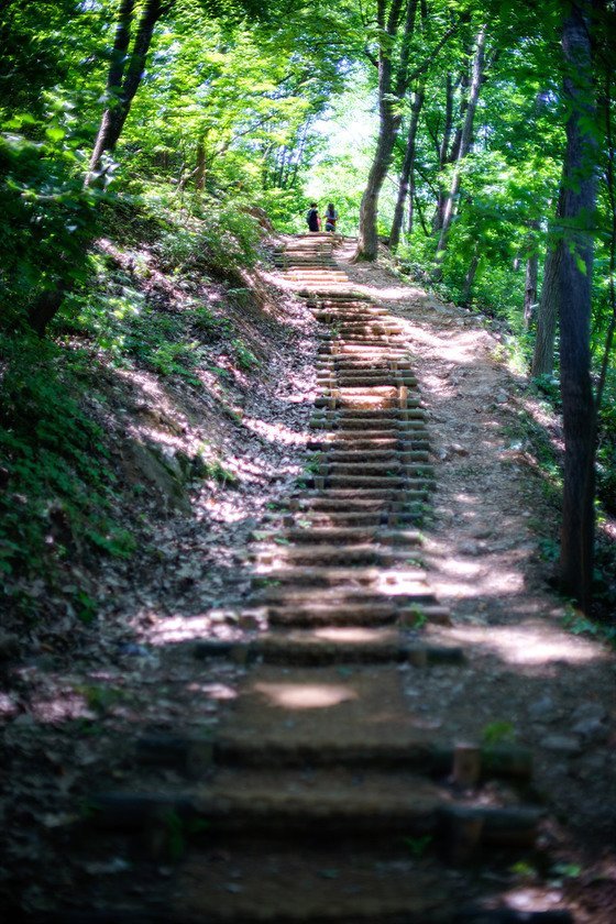 호숫길과 숲길이 어우러진 종댕이길은 평탄하고 경사가 비교적 완만한 편이어서 누구나 마음놓고 걸을 수 있다/사진=한국관광공사