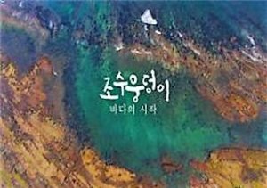 제주 해양생태 다큐영화 '조수 웅덩이' 포스터