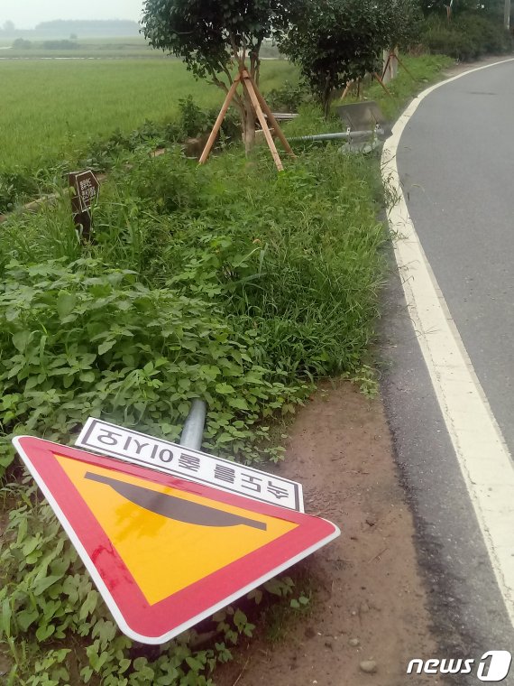 8일 전남 나주시 다시면 가흥리의 한 도로변에 쓰러진 채 방치돼 있는 교통표지판. /© News1