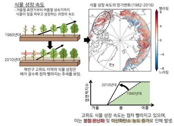 나무성장속도. 서울대 정수종 교수 제공