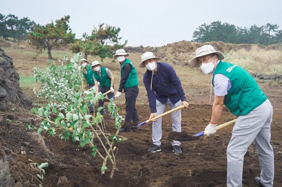 이니스프리, 제주 비양도에 '노란 무궁화' 황근 보급