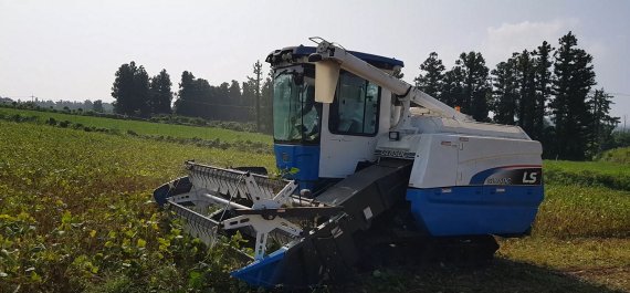 국산 팥 ‘홍다’ 기계수확 과정