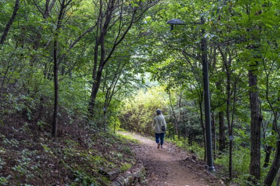 성미산 동네길. 성미산 등산로는 대로변에서 접근할 수 있고, 나지막한 동네 뒷산이라 부담 없이 산책을 즐길 수 있다. 서울관광재단 제공
