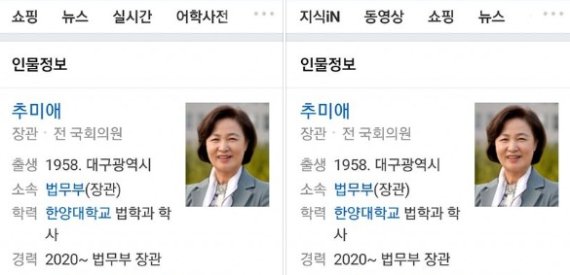 네이버 "추미애 검색 문제 일부 시스템 오류 때문"