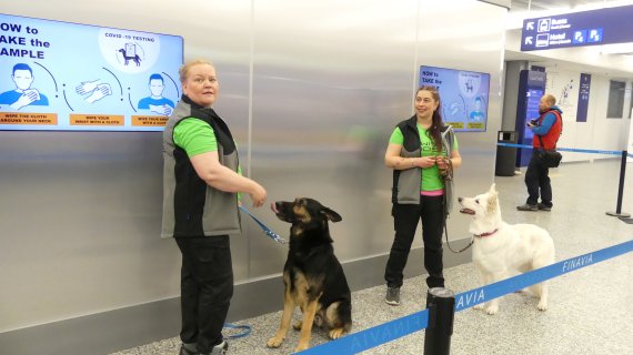 핀란드 반타의 헬싱키 공항에 코로나19 감염 승객을 식별하는 특수훈련된 개들이 조련사와 함께 배치됐다.로이터뉴스1