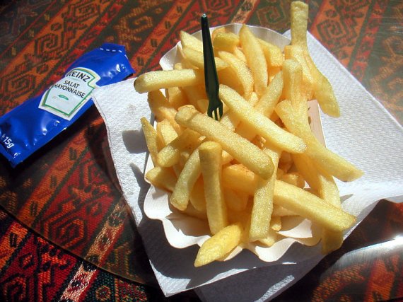 감자튀김과 마요네즈 / 사진출처 = 위키피디아