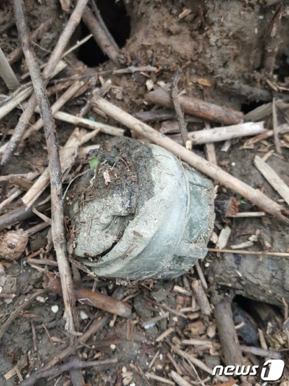 28일 고양시 한강변에서 발견된 M14 대인지뢰. (한국지뢰제거연구소 제공) © 뉴스1