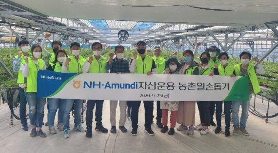 NH-Amundi자산운용 임직원들이 지난 25일 경기도 화성에 위치한 딸기 농가에 방문해 일손 돕기후 기념촬영을 하고 있다. (제공: NH-Amundi자산운용)