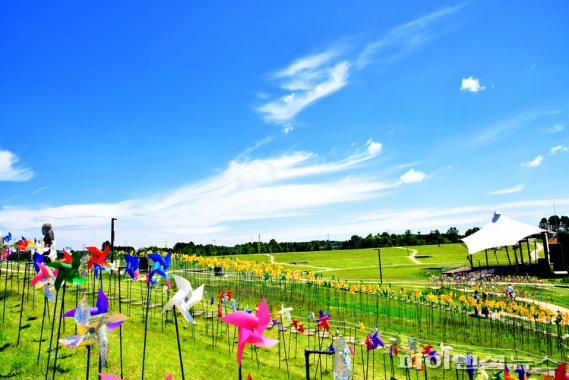 [포커스] 파주서 평화 관광하다…통일염원 ‘쑥쑥’