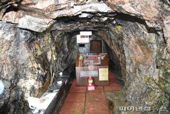 [포커스] 파주서 평화 관광하다…통일염원 ‘쑥쑥’