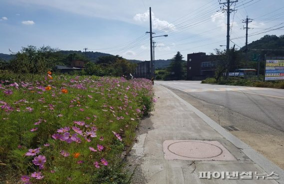 [포토뉴스] 파주시 사람-꽃향기 ‘진동’