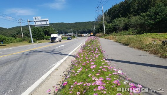 [포토뉴스] 파주시 사람-꽃향기 ‘진동’