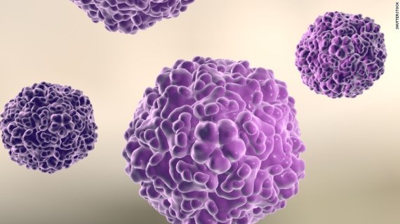 영국의 퀸메리 대학의 존 마셜 교수팀이 구제역 바이러스의 단백질에서 뽑아낸 펩타이드가 췌장암 세포를 집중적으로 찾아간다는 사실을 여러 실험을 통해 발견했다.