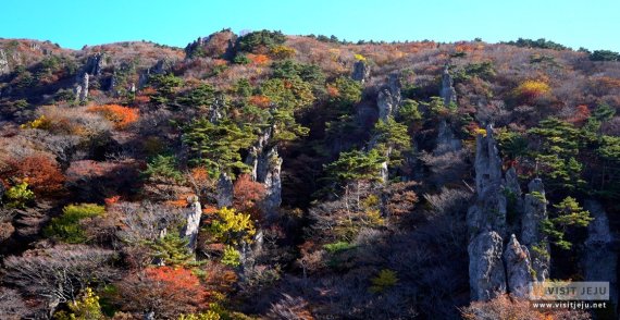 제주도 가을여행 이유는? 청정·안전 속 자연경관 감상