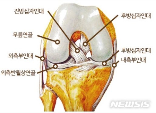 뉴시스