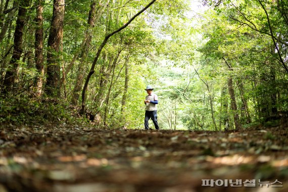 선흘1리 동백동산