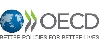 OECD가 내년 중 가상자산에 대한 과세 가이드라인을 제시하기로 했다.