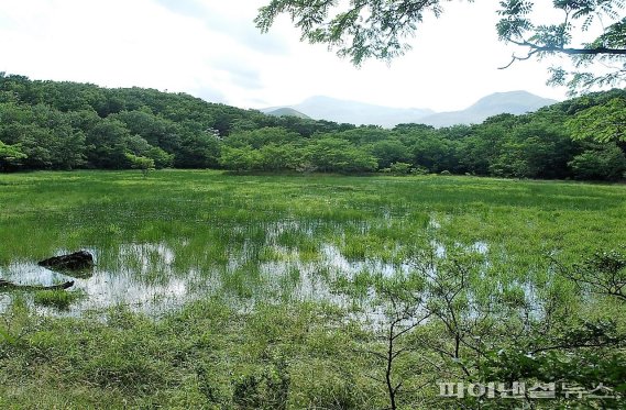 [제주고산습지②] 만수가 된 화구호…만추의 감성이 익어간다