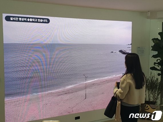 LG유플러스가 개설한 복합문화공간 '일상비일상의틈'의 내부모습 2020.10.15 뉴스1 © News1 김승준 기자