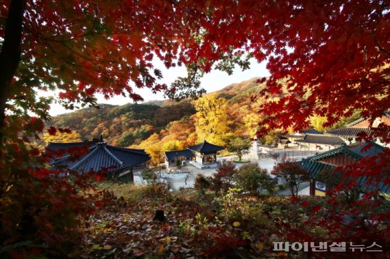 두물머리-갈산공원-용문사, 양평단풍 시작