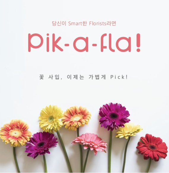 온라인 꽃 도매 플랫폼 피카플라(pik-a-fla!). 피카플라 제공.