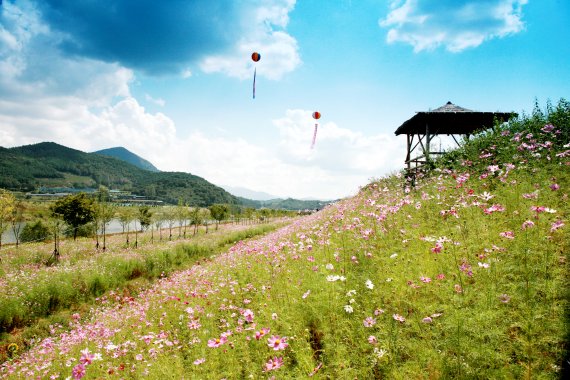 전남 곡성 대황강 자연휴식공원 /사진=한국관광공사