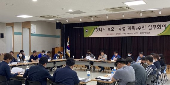 북부산림청, 신산림경영기술로 건강한 잣나무숲 육성한다