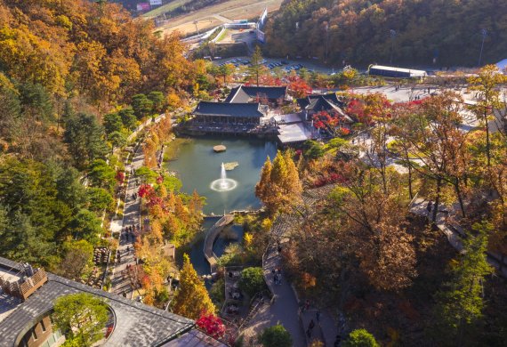 단풍 절정인 곤지암리조트 인근 화담숲 /사진=곤지암리조트