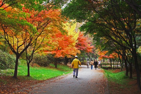 강남·서초 빌딩숲 사이 걷기 좋은 산책길