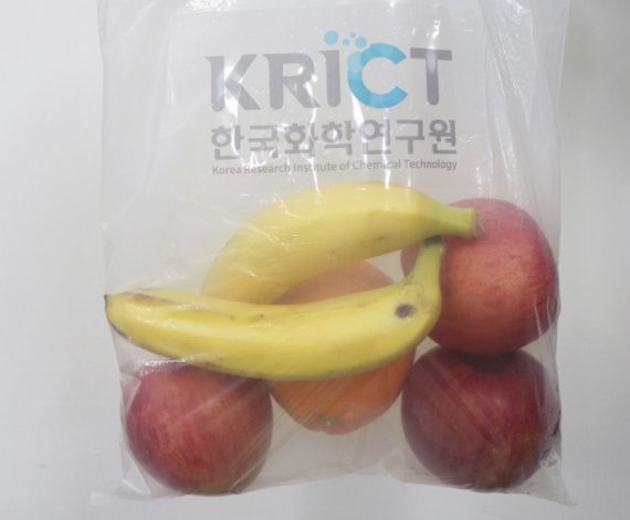 AI의사 '닥터앤서', 인공눈 …국가R&D 우수성과 100선 선정