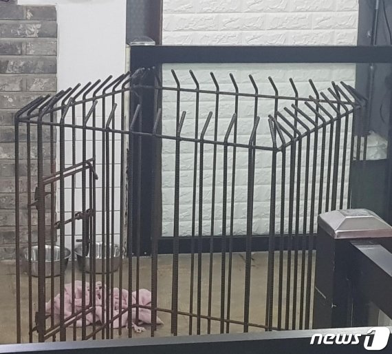 사고가 발생한 애견호텔 철장 울타리. 견주 SNS 화면 캡쳐. © 뉴스1