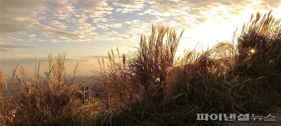 [fn포토] 11월 첫날, 한라산 일출과 오름·억새