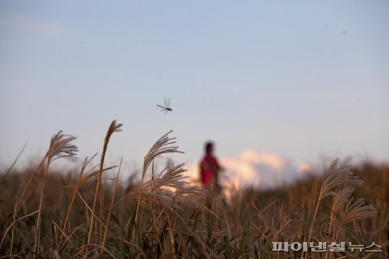 마라도 섬투어 [제주관광공사]