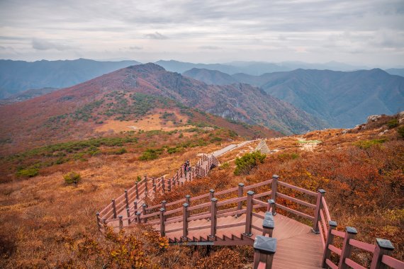 발길이 떨어지지 않을 정도로 빼어난 풍광을 자랑하는 가을의 영남알프스 /사진=한국관광공사