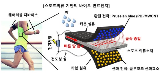 국내 연구진이 개발한 바이오 연료전지는 땀에 있는 포도당을 원료로 해 전기에너지로 전환 할 수 있다. 서강대 박정열 교수 제공