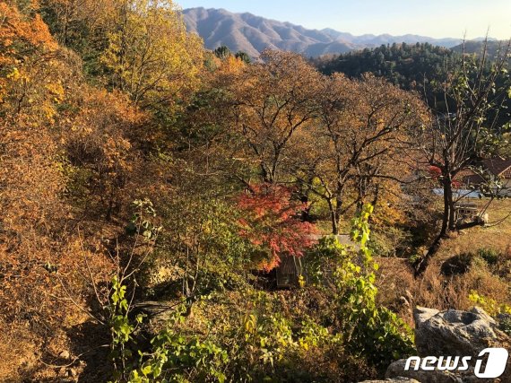 상류에서 개울(왼쪽)을 바라본 모습 © 뉴스1
