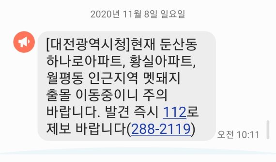 대전시가 8일 오전10시11분 시민들에게 발송한 '월평동 인근 멧돼지 출몰' 알림 안전문자.