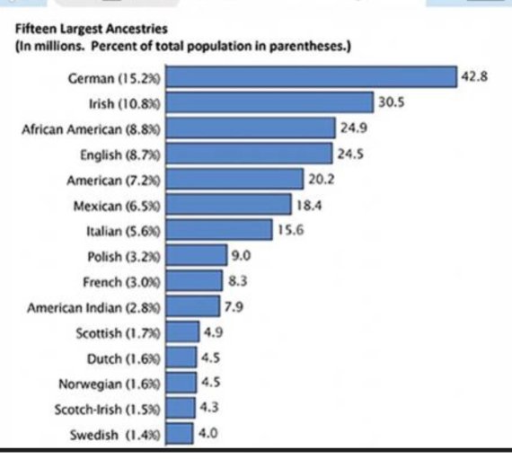 미국을 구성하는 상위 15개 민족. 단위 백만 / 자료출처 = 위키피디아